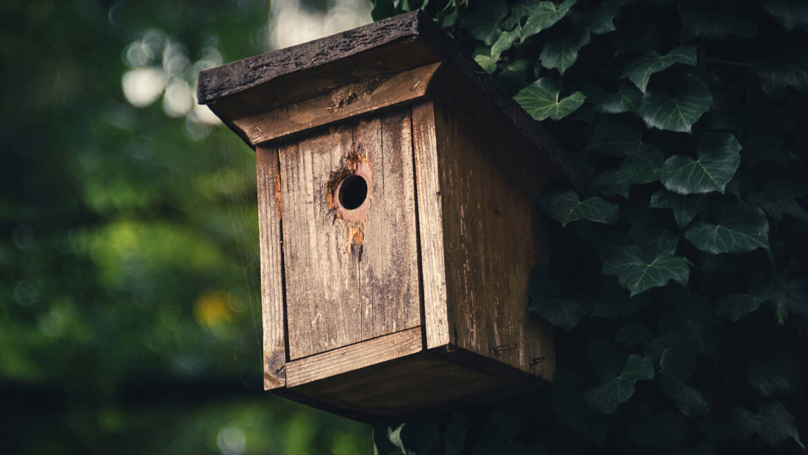 Gartentipp September 03: Nistkästen reinigen