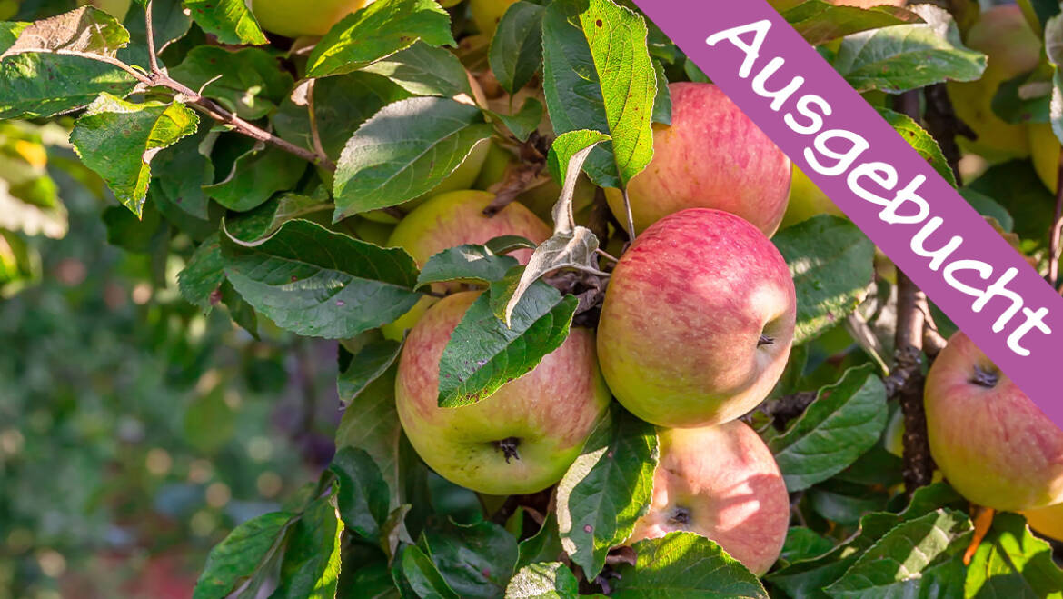 AUSGEBUCHT Obstbaumschnittseminar (28.02.)