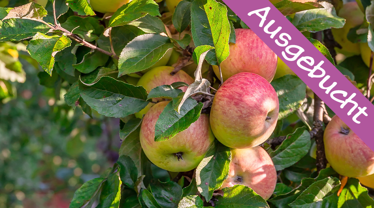 AUSGEBUCHT Obstbaumschnittseminar (28.02.)