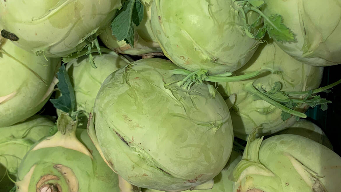 Kids-Aktion: „Wir suchen den größten Kohlrabi!“ (01.06.)