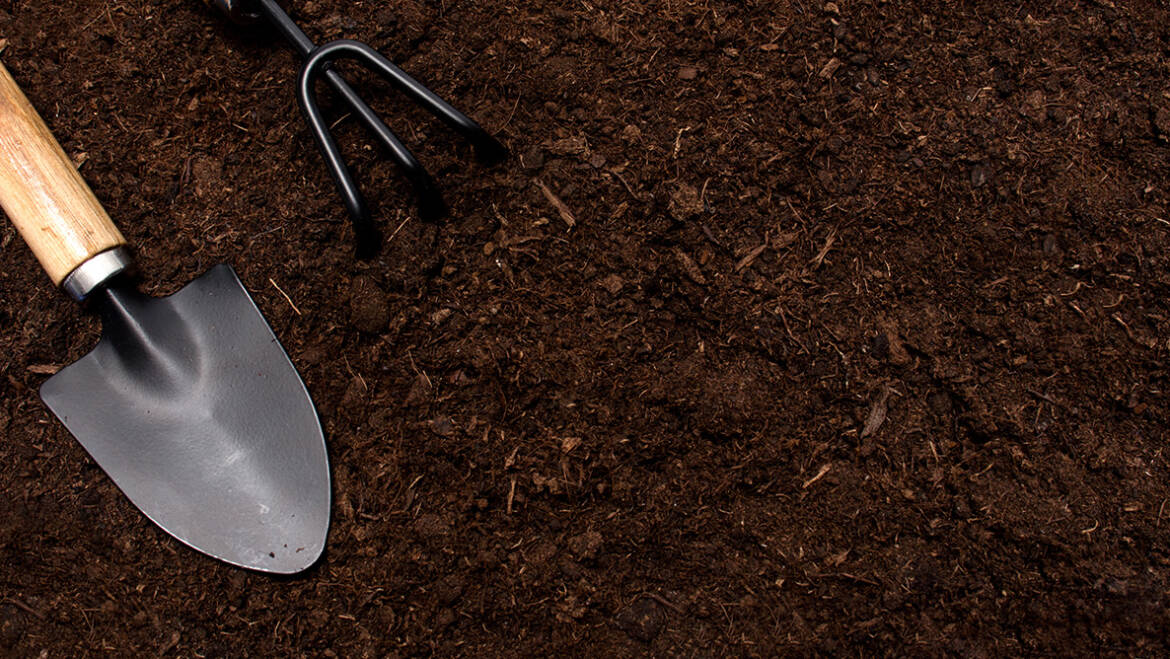 Seminar: Die Erde macht den Unterschied. Gute Erde – starke Pflanzen (24.03.)